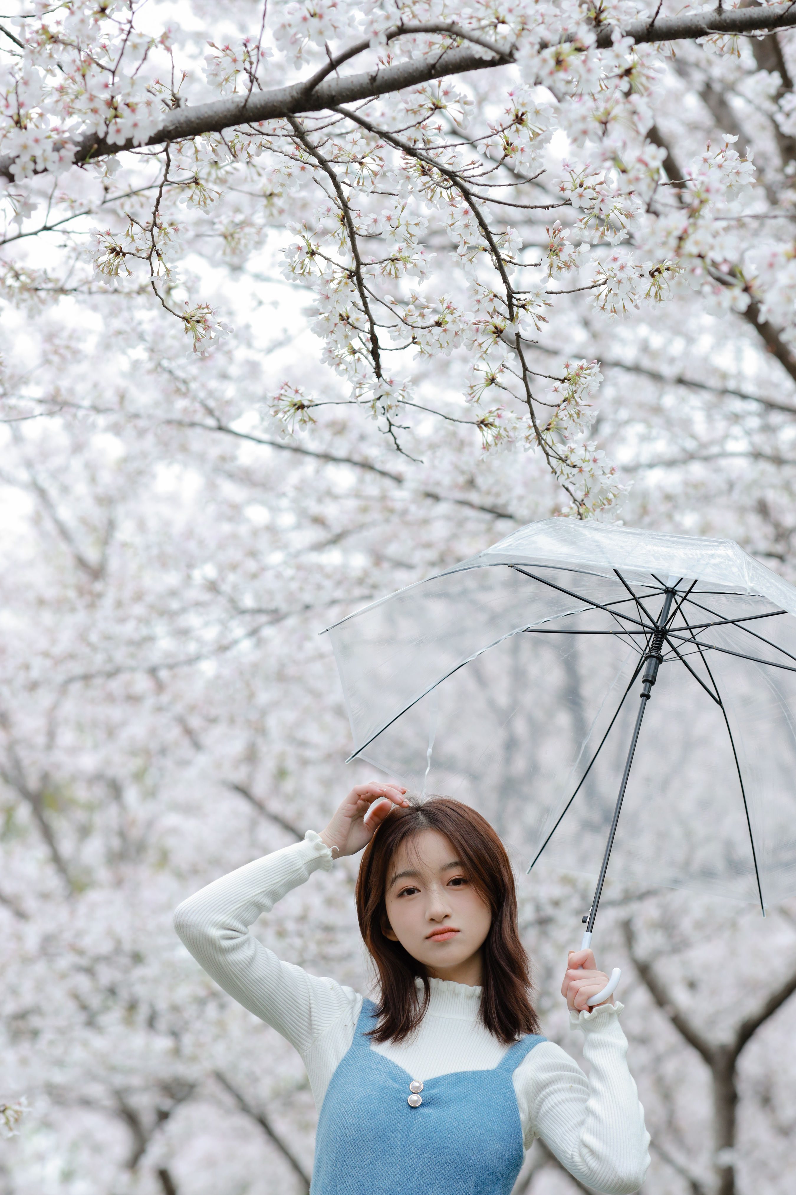 樱花物语 樱花 少女 小清新 清纯 写真 花