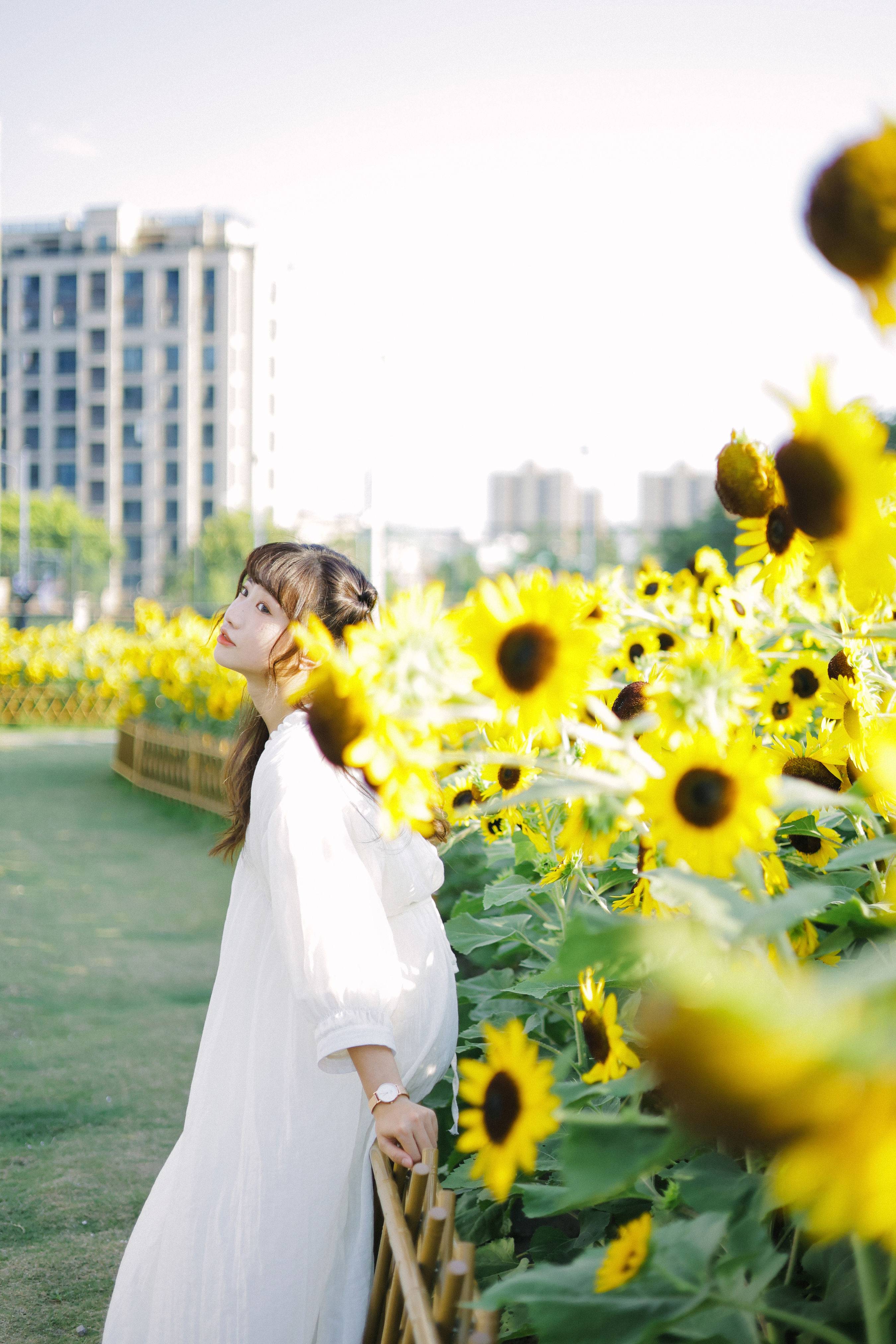 阳光下的花和你 日系 少女 向日葵 花 写真集&YiTuYu艺图语-2