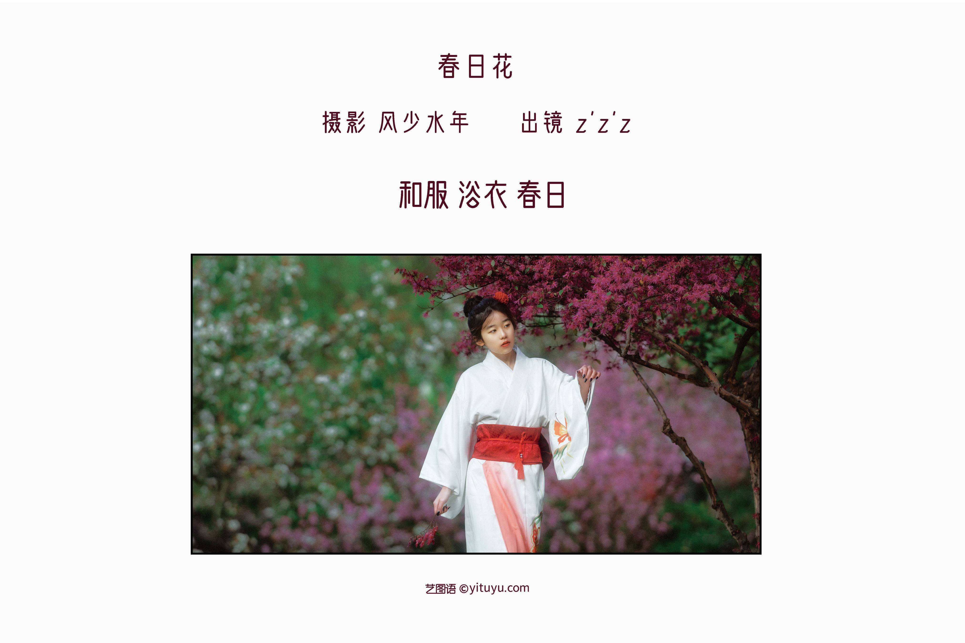 春日花 唯美 小清新 日式和风 日系 春天 少女 治愈系 美好 树林&YiTuYu艺图语-2