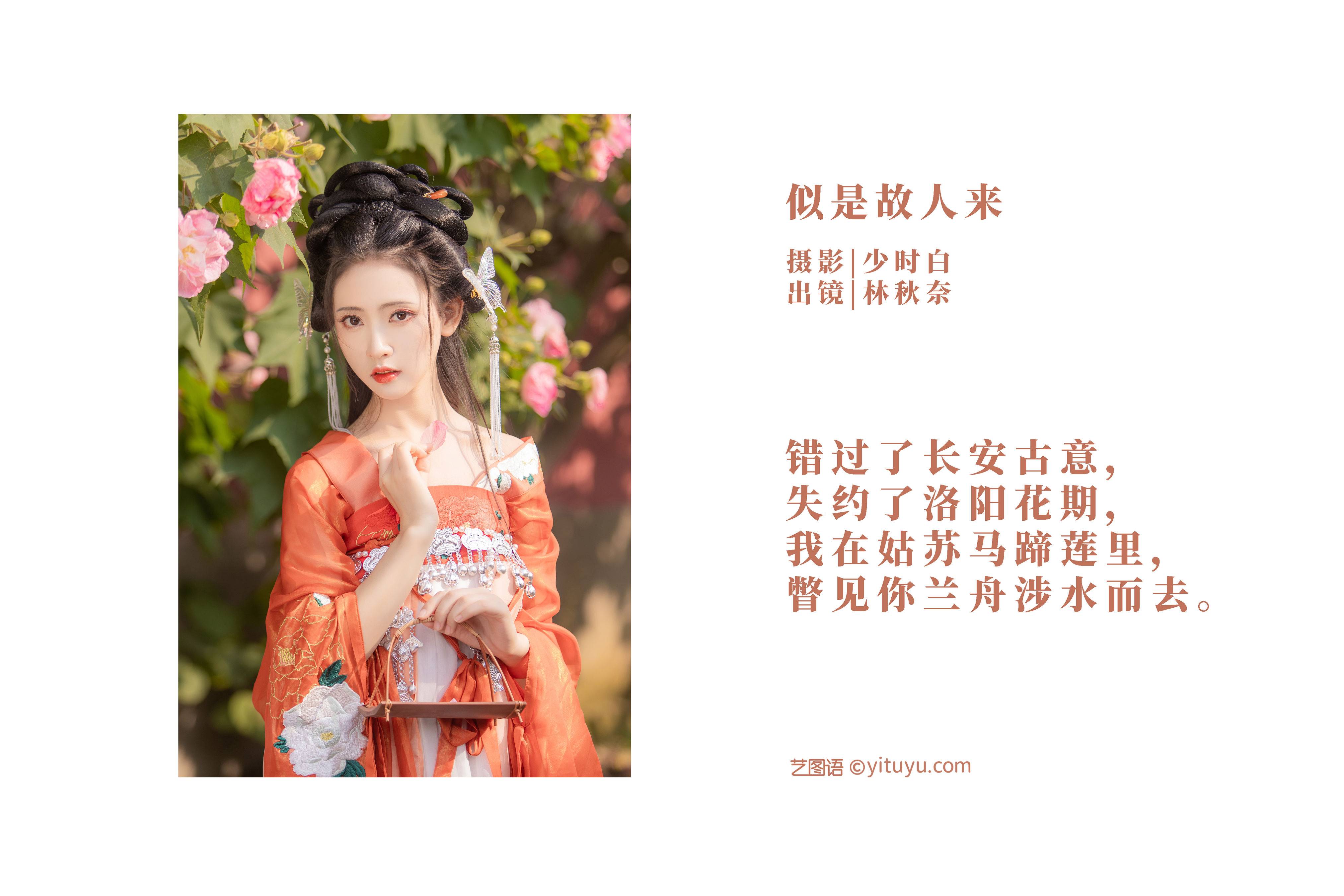 似是故人来 唯美 漂亮 仙气 古风 花 小仙女&YiTuYu艺图语-2