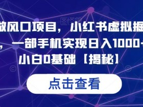 小红书虚拟资料项目新玩法，月赚1万的保姆级攻略