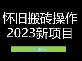 小红书虚拟资料项目新玩法，月赚1万的保姆级攻略