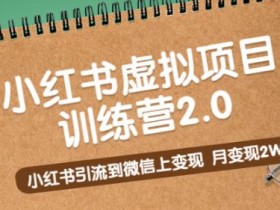 小红书虚拟资料项目新玩法，月赚1万的保姆级攻略