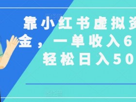 小红书虚拟资料项目新玩法，月赚1万的保姆级攻略