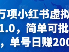 小红书卖虚拟课程能赚钱吗，收益分析与实操案例