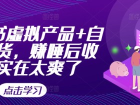 小红书卖虚拟课程能赚钱吗，收益分析与实操案例