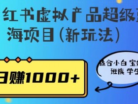 小红书卖虚拟课程能赚钱吗，收益分析与实操案例