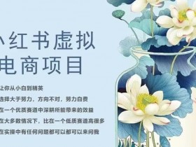 小红书卖虚拟课程能赚钱吗，收益分析与实操案例