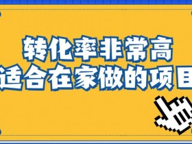 如何通过小红书卖虚拟资料赚钱，蓝海项目小白也能操作