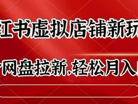 小红书蓝海虚拟资料项目，冷门赛道快速入门指南