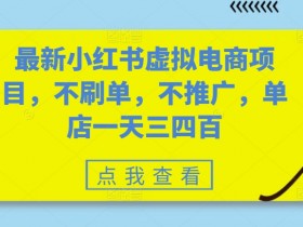 小红书虚拟资料项目新玩法，月赚1万的保姆级攻略