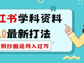 2025小红书学科资料玩法解析，爆款笔记运营新思路