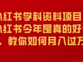 2025小红书学科资料玩法解析，爆款笔记运营新思路