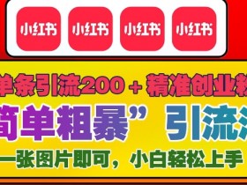 小红书矩阵推广怎么玩，图文引流日增流量500+的技巧