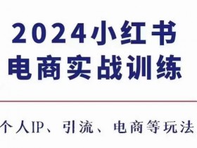 小红书矩阵推广怎么玩，图文引流日增流量500+的技巧