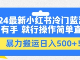 小红书矩阵推广怎么玩，图文引流日增流量500+的技巧