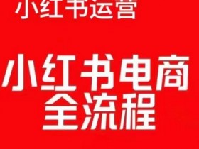 小红书图文矩阵玩法指南，批量发布日增精准流量300+