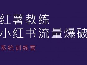 小红书图文矩阵玩法指南，批量发布日增精准流量300+