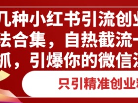 小红书矩阵推广能赚钱吗，引流创业粉的全新玩法分享