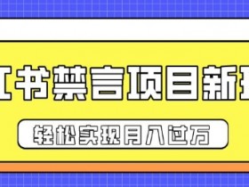 小红书矩阵引流创业粉难吗，新手入门玩法的核心技巧