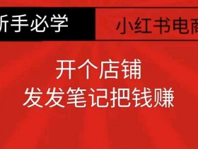 小红书矩阵推广效果好不好，从发布到变现的真实案例