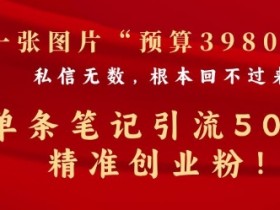 小红书矩阵引流到私域怎么做，高效转化的核心技巧揭秘