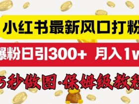 如何用小红书矩阵引流私域流量，从搭建到转化的全攻略