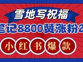 小红书矩阵批量发布攻略，从引流到变现的全流程操作