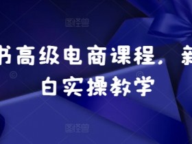 小红书高端旅游定制项目解析，高客单价私域玩法指南