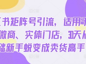 小红书高端旅游定制项目解析，高客单价私域玩法指南