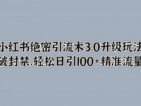 小红书高端旅游定制项目解析，高客单价私域玩法指南