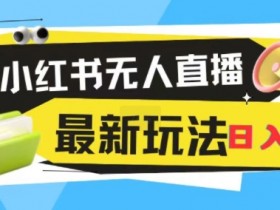 小红书旅游攻略项目靠谱吗，一单70+的高利润赛道分析