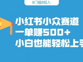 小红书旅游定制项目靠谱吗，详细剖析日入900+的盈利方法