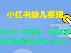 旅游项目怎么在小红书推广，高效投流玩法全解析