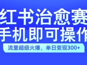 小红书旅游类目怎么推广，一键投流保姆级教学