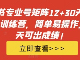 揭秘小红书高利润旅游项目，一单十万的玩法拆解教程