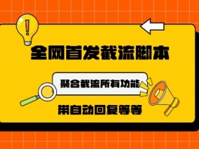 如何通过小红书掘金月入5000+，蓝海赛道从引流到收益的流程