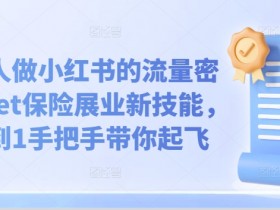 蓝海冷门赛道怎么玩，小红书掘金项目月入20万的秘密