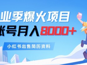 蓝海冷门赛道怎么玩，小红书掘金项目月入20万的秘密