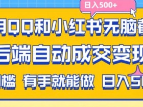 小红书掘金虚拟项目靠谱吗，低风险高收益的实操教程