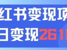 小红书掘金虚拟项目靠谱吗，低风险高收益的实操教程