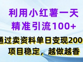 小红书掘金虚拟项目靠谱吗，低风险高收益的实操教程