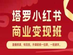 小红书掘金引流操作玩法，暴力引流私域流量日增300+秘籍