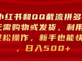 小红书掘金引流操作玩法，暴力引流私域流量日增300+秘籍