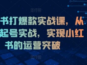 小红书掘金虚拟资源项目，零成本日入300+的玩法揭秘