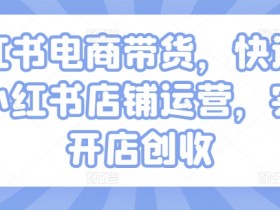 小红书掘金虚拟资源项目，零成本日入300+的玩法揭秘