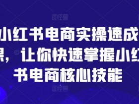 小红书掘金项目蓝海玩法，适合新手的低门槛收益模式