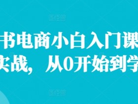 小红书掘金项目蓝海玩法，适合新手的低门槛收益模式