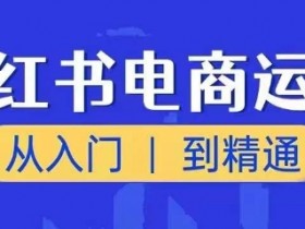 小红书掘金项目蓝海玩法，适合新手的低门槛收益模式