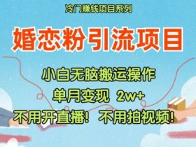 小红书掘金模式靠谱吗，月入过万的虚拟赛道玩法解析